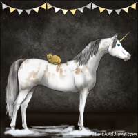 Horse Color:Gray White Spotted Brown Pearl Dun Sabino Splash Appaloosa