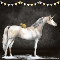 Horse Color:White Spotted Silver Brown Pearl Dun Splash Tobiano 