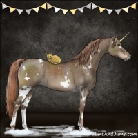 Horse Color:White Spotted Liver Red Dun Sabino Brindle 