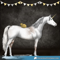 Horse Color:Gray White Spotted Liver Red Dun Ice Mushroom Sabino Brindle