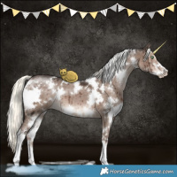 Horse Color:White Spotted Liver Red Dun Mushroom Sabino Brindle 