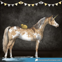 Horse Color:White Spotted Chocolate Palomino Dun Sabino Frame Brindle