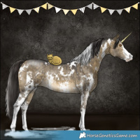 Horse Color:White Spotted Buckskin Dun Sabino Brindle 