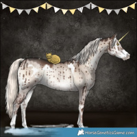 Horse Color:White Spotted Liver Red Dun Onyx Mushroom Sabino Brindle 