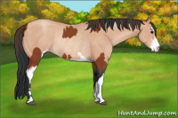 Horse Color:Bay Sabino Rabicano  and Amber Champagne Sabino Rabicano 
