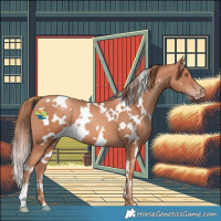 Horse Color:White Spotted Gold Champagne 