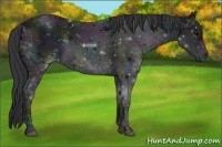 Horse Color:Midnight Black Ice