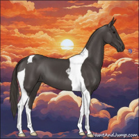Horse Color:Smoky Black Tobiano 