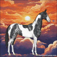 Horse Color:White Spotted Black Tobiano