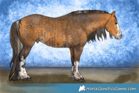 Horse Color:Silver Black  and Buckskin 