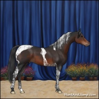 Horse Color:Brown Tobiano