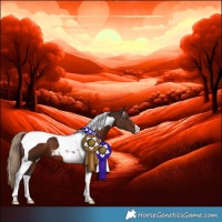 Horse Color:Liver Chestnut Tobiano 