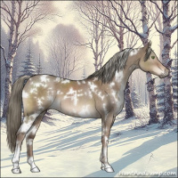 Horse Color:White Spotted Liver Red Dun Mushroom 