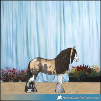 Horse Color:Grullo Rabicano  and Buckskin Dun Splash Rabicano 
