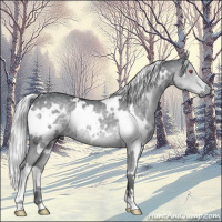 Horse Color:White Spotted Silver Black Chinchilla 