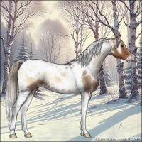 Horse Color:White Spotted Liver Red Onyx Mushroom Tobiano 