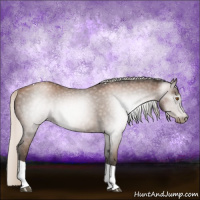 Horse Color:Gray Silver Black Pearl Tobiano 