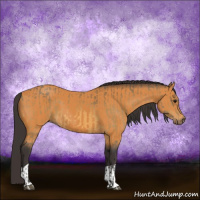 Horse Color:Buckskin  and Buckskin 