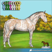 Horse Color:Chestnut  and Smoky Creme Tobiano 