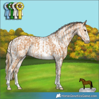 Horse Color:Chestnut  and Smoky Creme Tobiano 