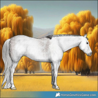 Horse Color:Gray Bay Sabino Splash