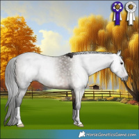 Horse Color:Gray Brown Dun Rabicano 