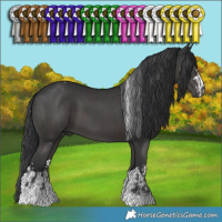 Horse Color:Smoky Black Tobiano  and Black 