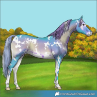 Horse Color:Watercolor White Spotted Liver Red Onyx