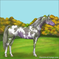 Horse Color:Watercolor White Spotted Liver Chestnut