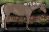 Horse Color:Silver Black 