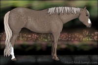 Horse Color:Silver Black 