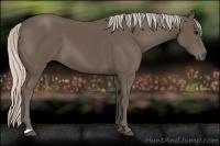 Horse Color:Silver Black 