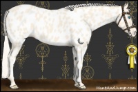 Horse Color:Cremello Near Leopard 