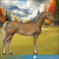 Horse Color:Chocolate Palomino Dun 