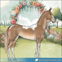 Horse Color:Chocolate Palomino Sabino Tobiano 