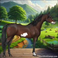 Horse Color:Brown Frame 