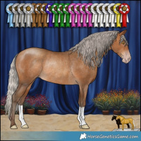 Horse Color:Gray Silver Amber Champagne Rabicano