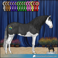 Horse Color:Black Splash
