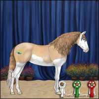 Horse Color:Gold Champagne Splash 