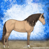 Horse Color:Amber Champagne 