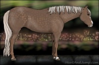 Horse Color:Silver Black Frame 