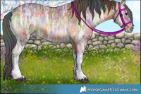 Horse Color:Nacre Bay Ice Onyx 