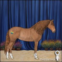 Horse Color:Chestnut Rabicano 