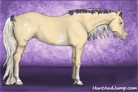 Horse Color:White Spotted Gold Cream Champagne