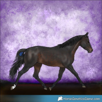 Horse Color:Brown 