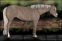 Horse Color:Silver Blue Roan Sabino 