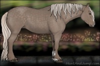 Horse Color:Silver Blue Roan Sabino 