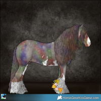 Horse Color:Nacre Liver Chestnut Appaloosa 