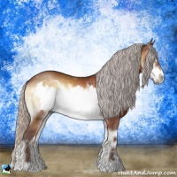 Horse Color:Silver Brown Onyx Sabino Frame 