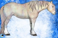 Horse Color:Nacre Silver Brown Ice Onyx Sabino 